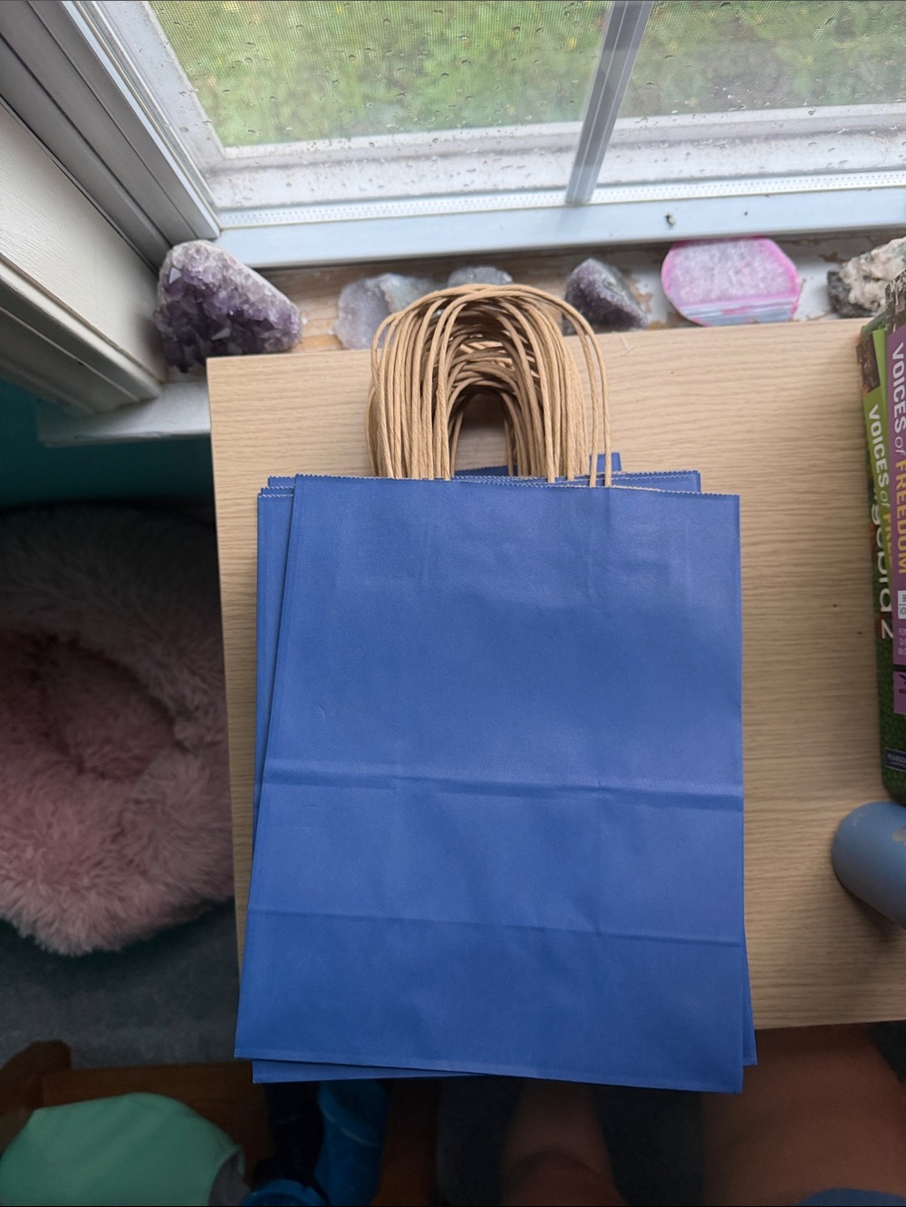 Blue Paper Gift Bags with Handles – Set of 40 Bags